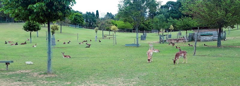 Immagine di Santa Paolina Farm a Filottrano, Marche
