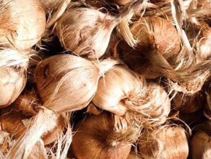 Immagine di Azienda agricola Sativus di Umberto Sacco a Monchiero, Piemonte