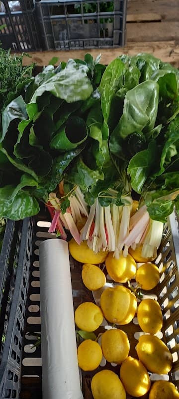 Immagine di Frutta e verdura a km zero a Mercato San Severino, Campania