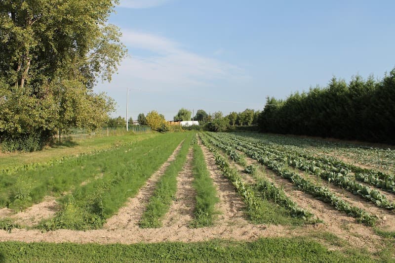 Immagine di Azienda Agricola Biologica Busatto a Arino, Veneto