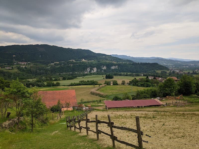 Immagine di Azienda Agricola "Cascina Moggi" a Arzello, Piemonte