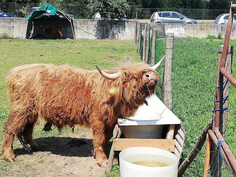 Immagine di Nella vecchia fattoria a Biassono, Lombardia