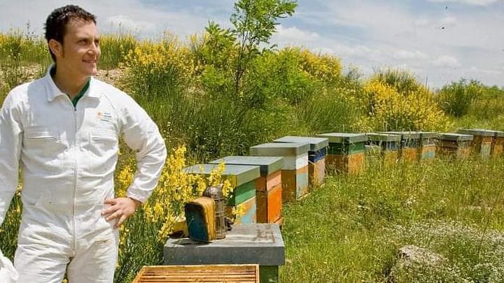 Immagine di Miele Vaccaro - Agricoltura Biologica a Case Marconi, Basilicata