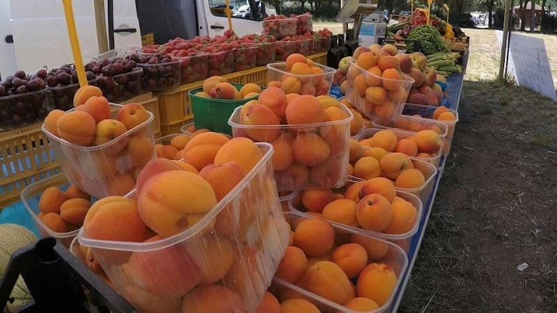 Immagine di Azienda Agricola Daddi Nedo - Frutta e Verdura di Produzione Propria a Piombino, Toscana