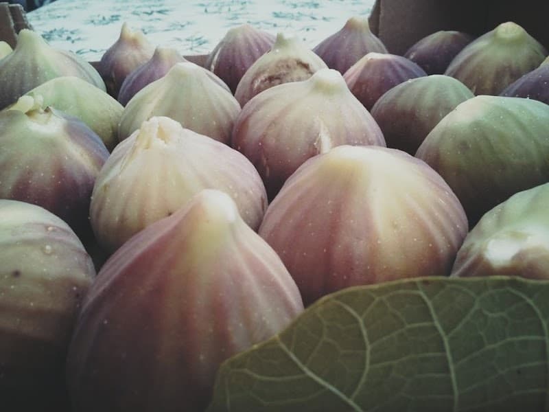 Immagine di Azienda Agricola Colto e Mangiato a Garlate, Lombardia