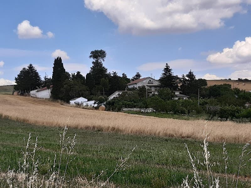 Immagine di Azienda Agricola Savignano a Nusco, Campania
