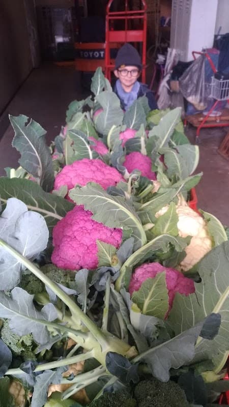 Immagine di Azienda Agricola Bonetto a Calmaggiore I, Veneto