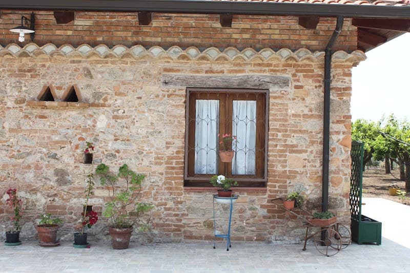 Immagine di Le terre di zoè - Agriturismo e Azienda Agricola Biologica a Limbadi, Calabria