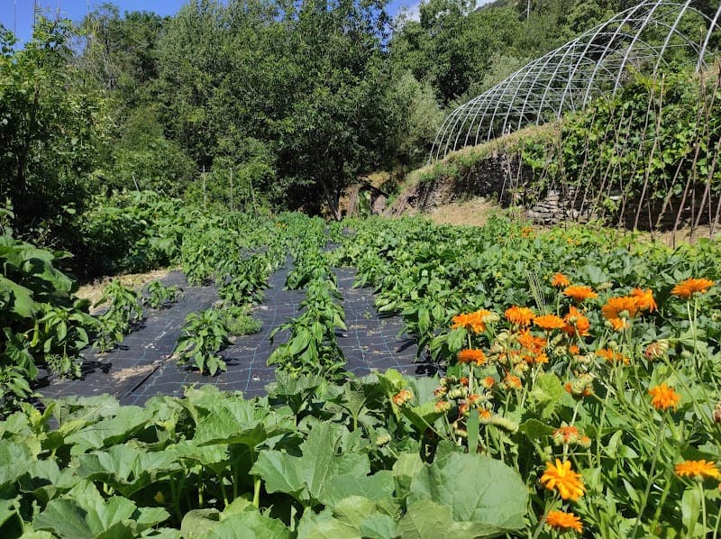 Immagine di La Gouerze a Nus, Valle d'Aosta