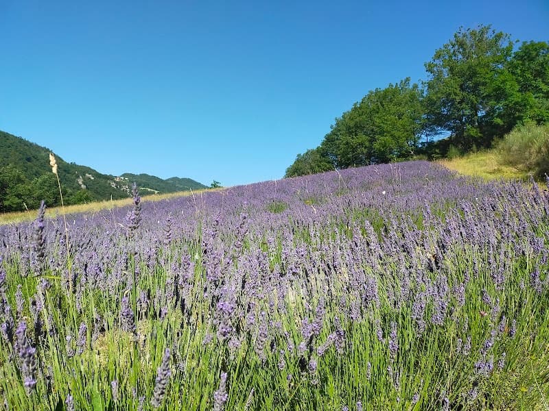 Immagine di Borgo degli Gnomi a Valle San Giovanni, Abruzzo