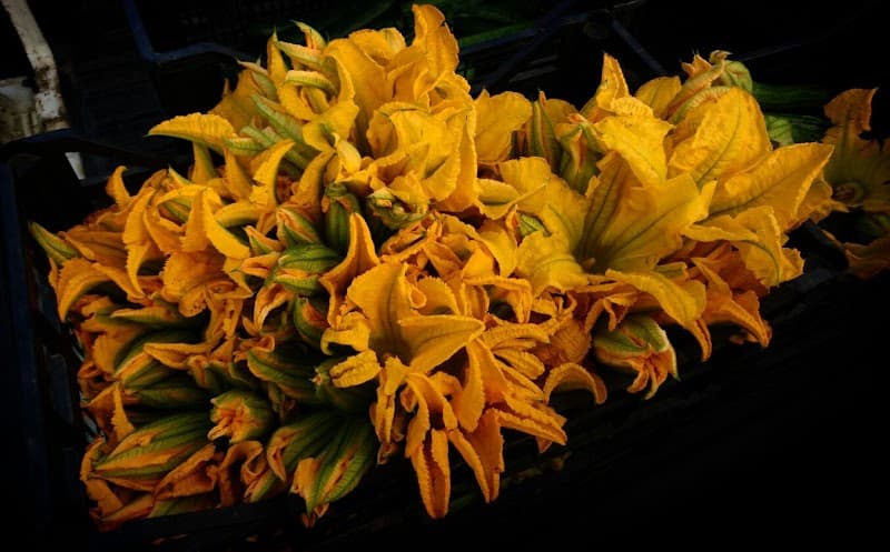 Immagine di Cascina Rampina a Calolziocorte, Lombardia