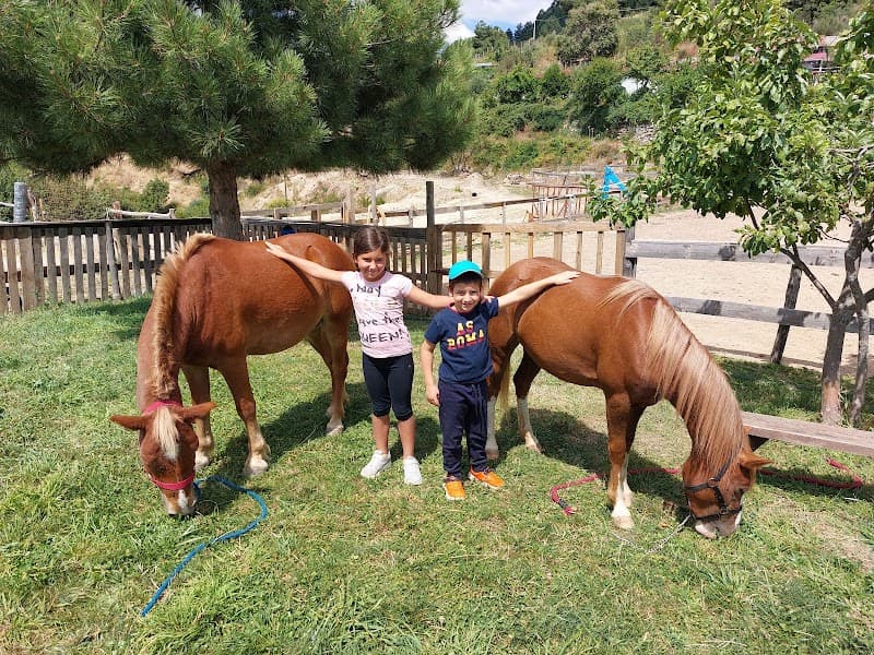 Immagine di Azienda Agricola "L'orto di Lidia" a San Giovanni in Fiore, Calabria