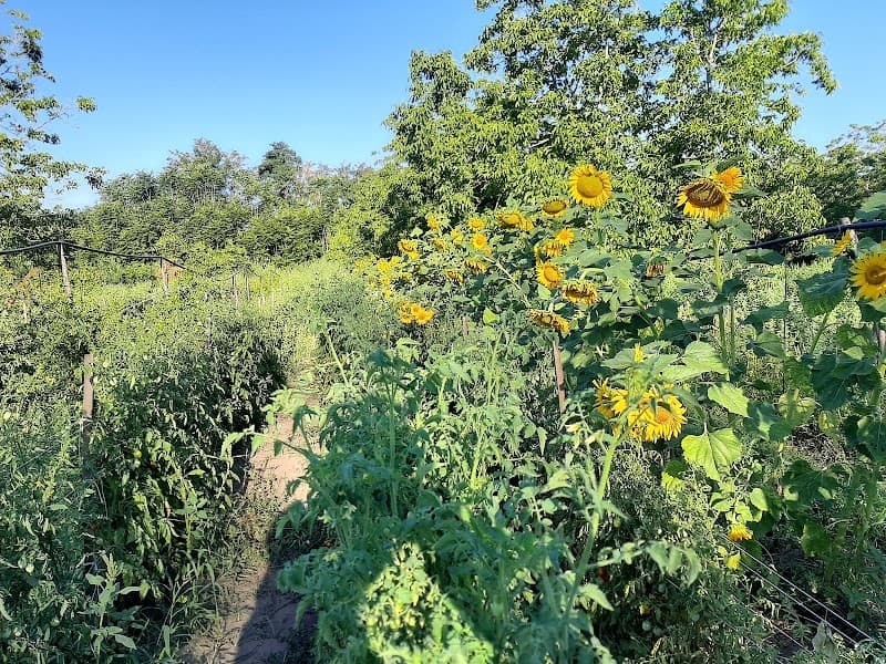 Immagine di L'Orto Conviviale a Sant'Anastasia, Campania
