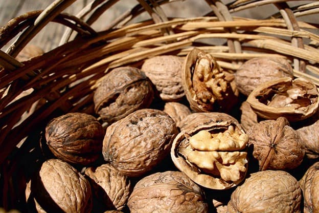 Immagine di Da Campione Azienda Agricola Biologica a Bologna, Emilia-Romagna
