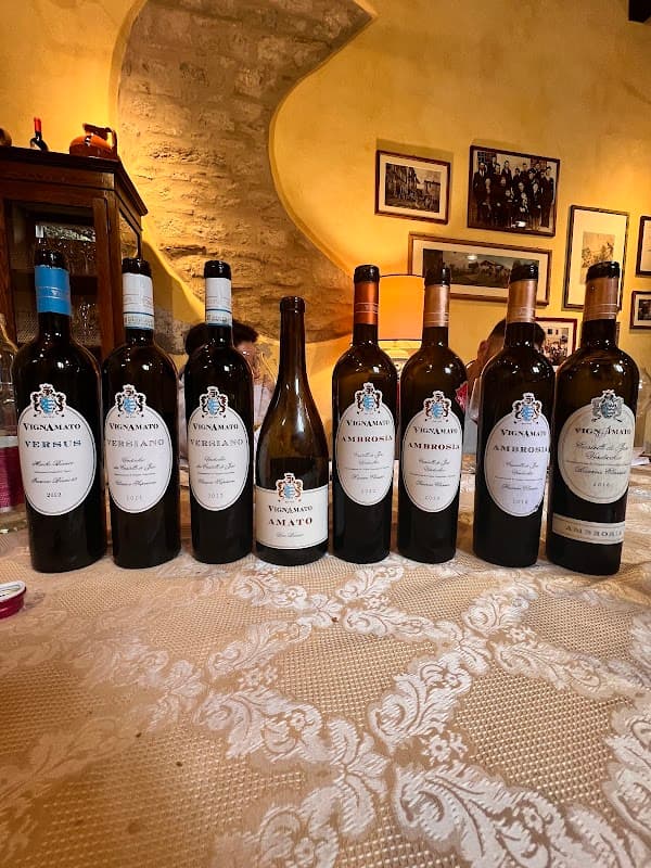 Immagine di Azienda Agricola Vignamato a San Paolo di Jesi, Marche