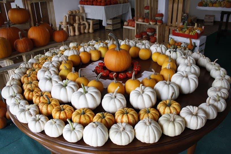 Immagine di Degano Zucche a Gorizia, Friuli-Venezia Giulia