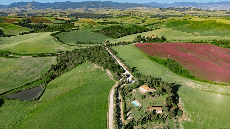 Immagine di Azienda agricola biologica Floriddia a Peccioli, Toscana