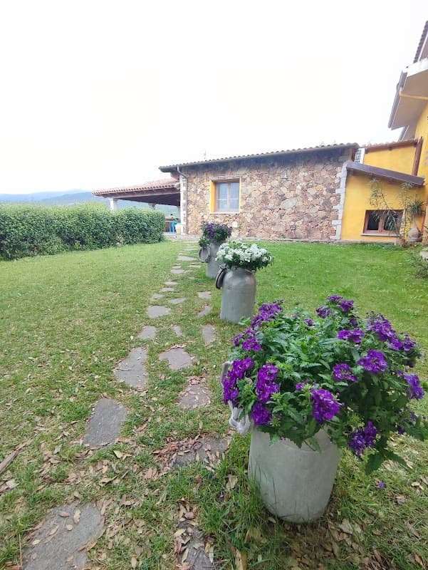 Immagine di Agriturismo Fattoria su Grabiolu a Siamanna, Sardegna