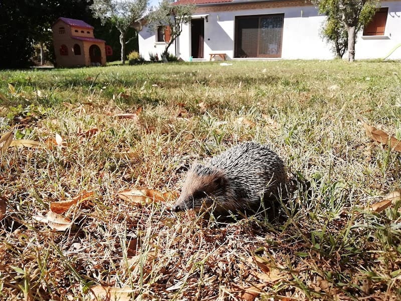 Immagine di Società Agricola De Rossi a Venezia, Veneto