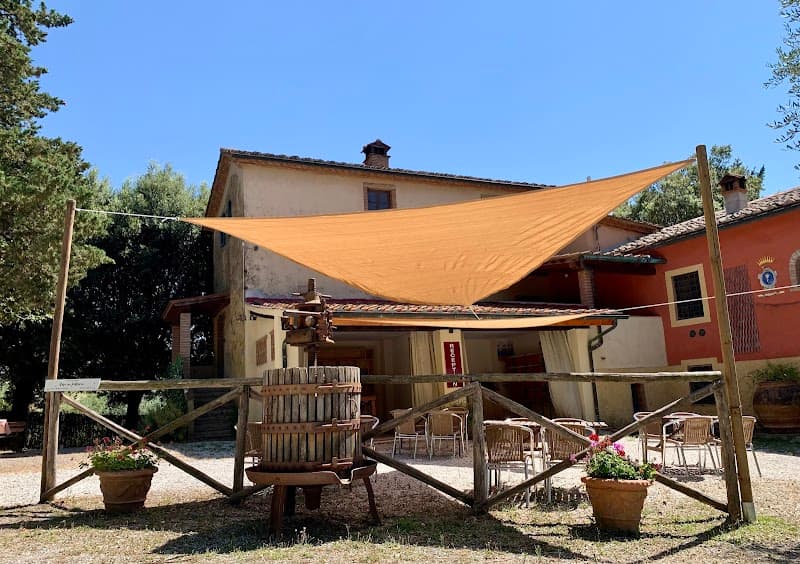 Immagine di Agriturismo Fattoria La Prugnola - Agriturismo in Toscana a Montescudaio, Toscana