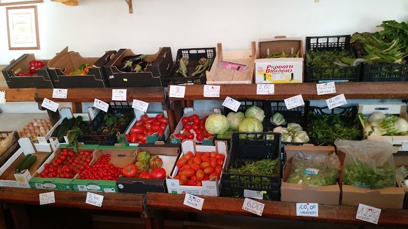 Immagine di Azienda Agricola Biologica 'al Confin' a Camisano Vicentino, Veneto