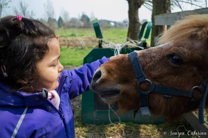 Immagine di Fattoria Il Rosmarino - Associazione Seminati a Marcon, Veneto