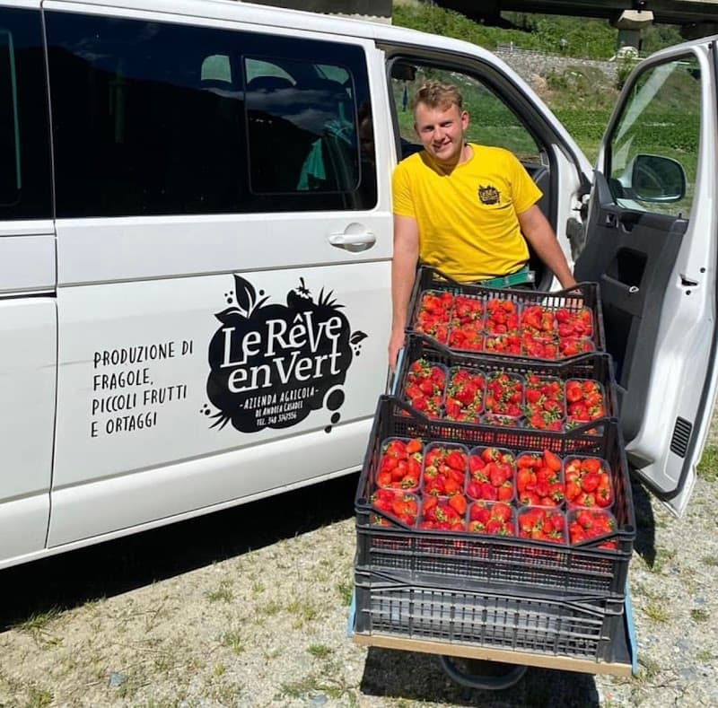 Immagine di Azienda Agricola "Le rêve en vert" a Arnad, Valle d'Aosta