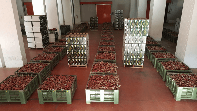 Società Agricola Sabatino Cipolla Rossa di Tropea Igp