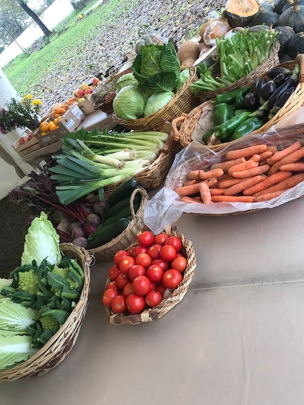 Immagine di La Buona Terra - VENDITA DIRETTA ORTAGGI BIOLOGICI KM 0 - Cooperativa Sociale Agricola a Reggio Emilia, Emilia-Romagna