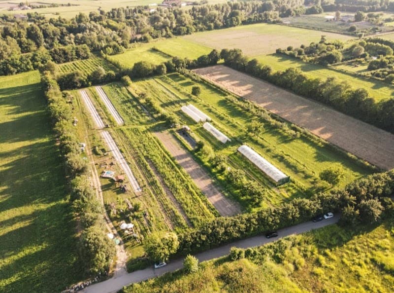 Immagine di La Folaga Rossa (agricoltura naturale, vendita diretta ortaggi) a San Pancrazio, Veneto