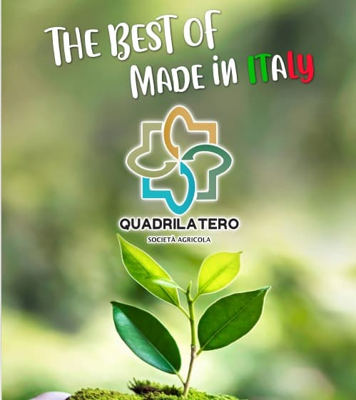 Immagine di Il Quadrilatero SS Società Agricola a Albenga, Liguria