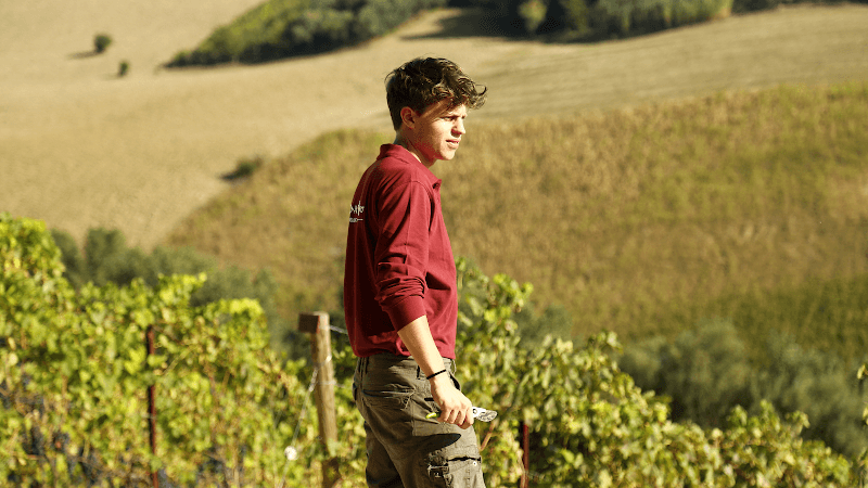 Immagine di La Quercia Scarlatta | Azienda agricola biologica a Monte San Giusto, Marche