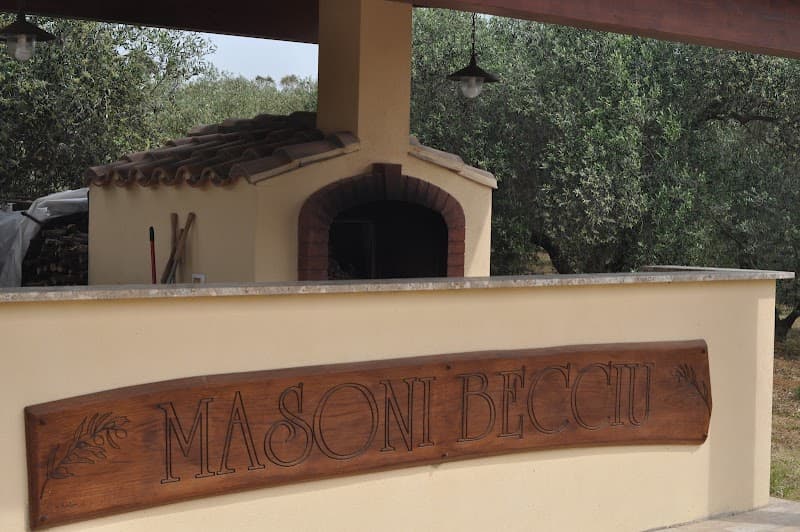 Immagine di Masoni Becciu Olio Extravergine d'Oliva - EVO - Azienda AgroBiologica Olivicola di Valentina Deidda a Santadi, Sardegna