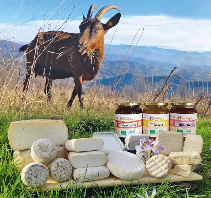 Immagine di Pilan e Cereseto Società agricola a Torbi, Liguria