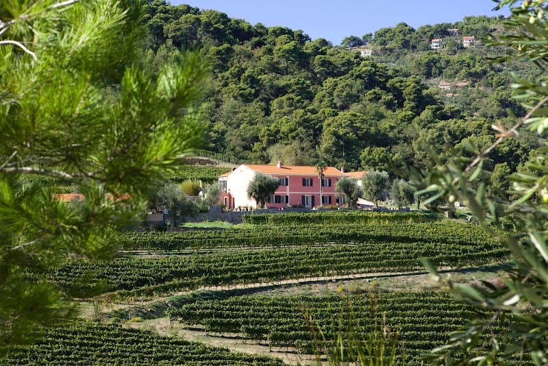 Immagine di Azienda Agricola Maria Donata Bianchi a Diano Arentino, Liguria