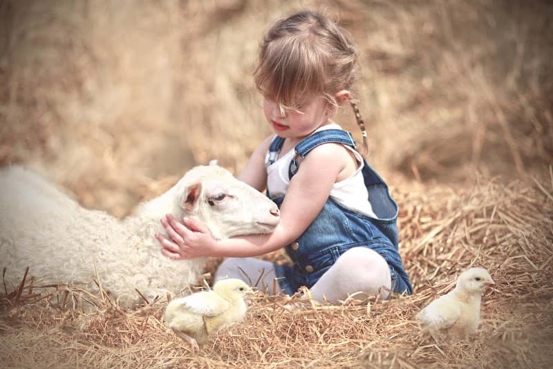 Immagine di Fattoria Didattica Asino Berto - Azienda Agricola Kmetija Antonic - Spaccio prodotti a Duino-Aurisina, Friuli-Venezia Giulia