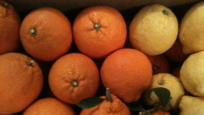 Arance di Sicilia - Arance Rosse OnLine - Azienda Agricola Cristaldi