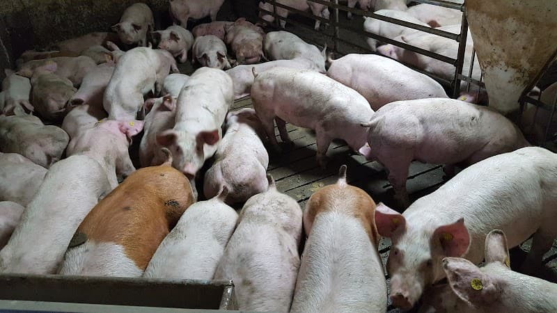 Immagine di Azienda Agricola Zuccardi a Morra De Sanctis, Campania