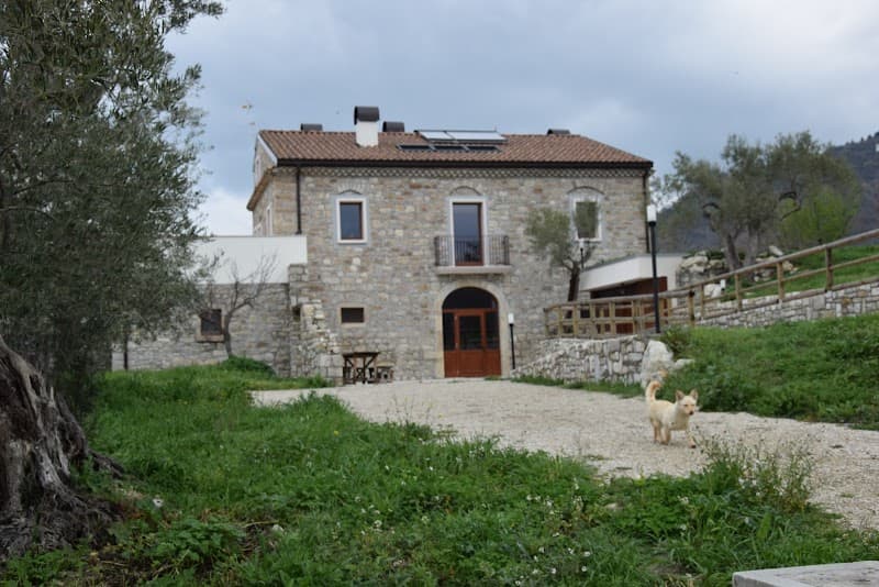 Anteprima immagine