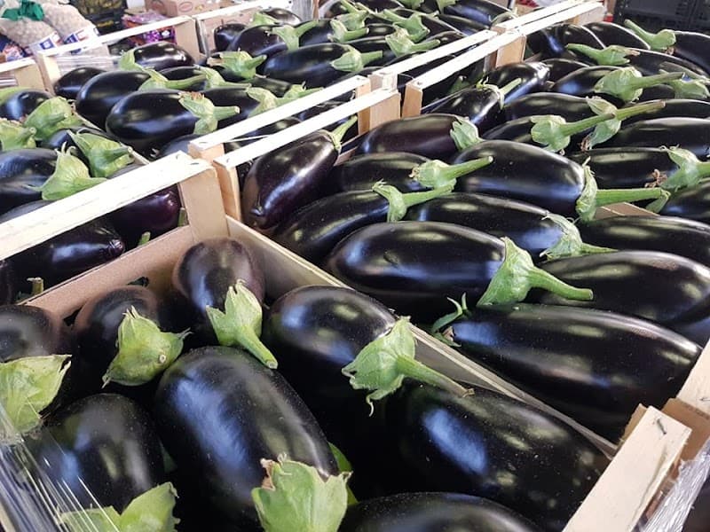 Ristofruit S.r.l.