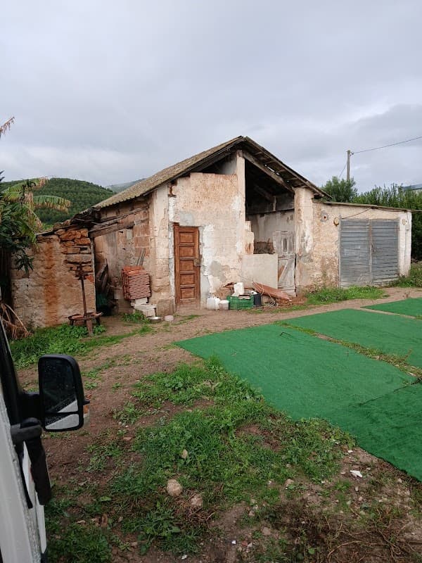 Immagine di Fattoria La Traccia Agriturismo Biologico a Sassari, Sardegna