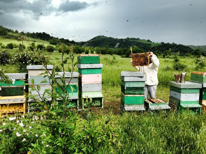 Immagine di Azienda Agricola De Angeli a San Martino In Argine, Emilia-Romagna
