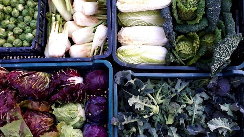 Immagine di Azienda Agricola Montedago a Ancona, Marche