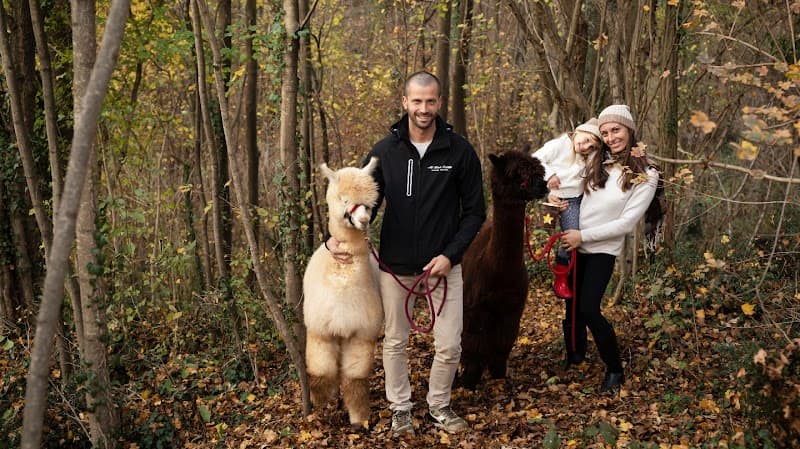 Immagine di Nel Bosco Incantato - Fattoria didattica - Nido in famiglia - Alpaca Veneto Italia a Treviso, Veneto