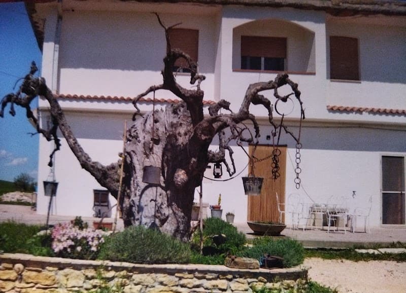 Immagine di Azienda Agricola Biologica - Corona M&D a Tricarico, Basilicata