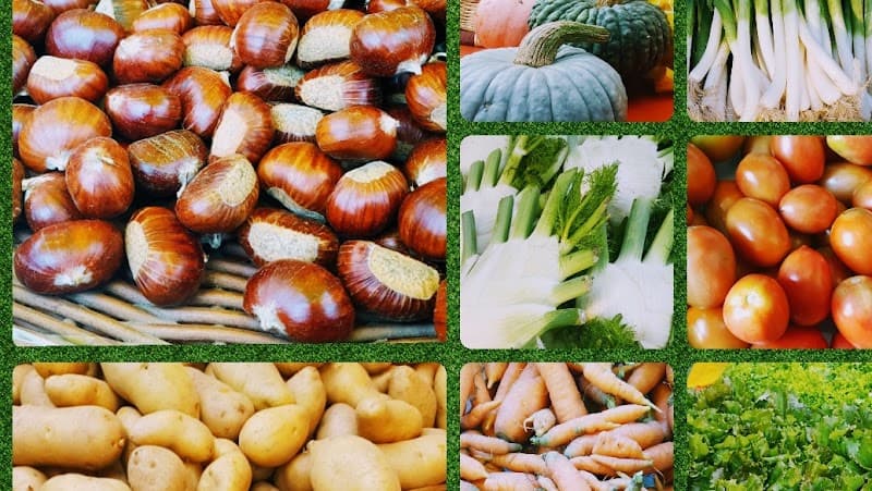 Immagine di Azienda Agricola POGNANT GROS a Pognant-grangia, Piemonte