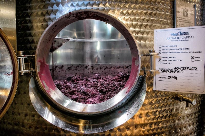 Immagine di Arnaldo Caprai Società Agricola s.r.l. a Torre di Cammoro, Umbria