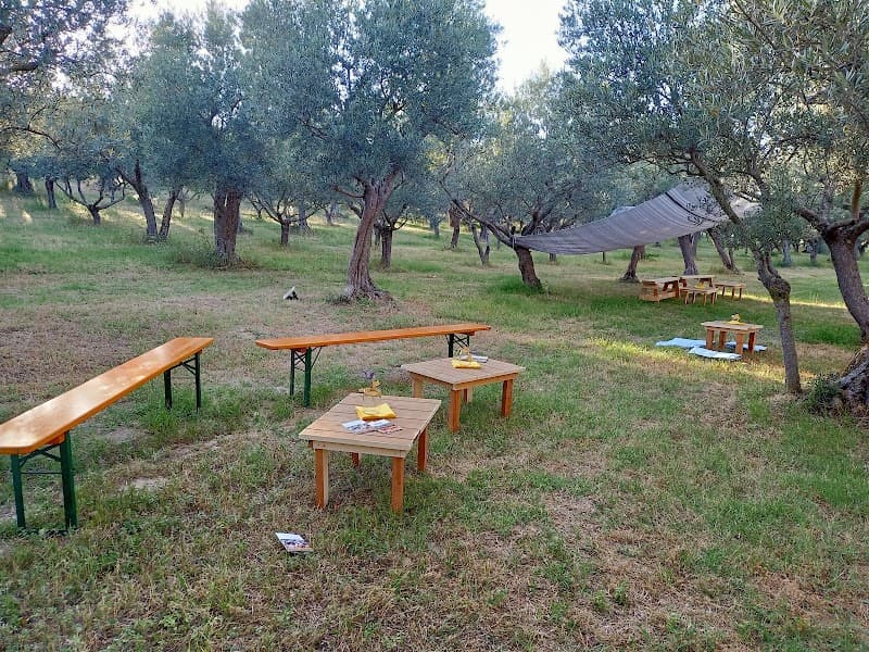 Immagine di Azienda Agricola Anibaldi Cinzia a San Severino Marche, Marche