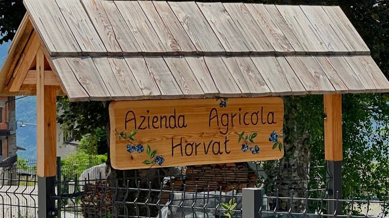 Immagine di Azienda Agricola Biologica Horvat a Strigno, Trentino-Alto Adige