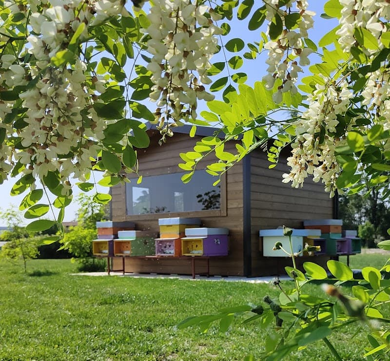 Immagine di Le Api di Demetra - Fattoria didattica e Agri-benessere a Chieti, Abruzzo